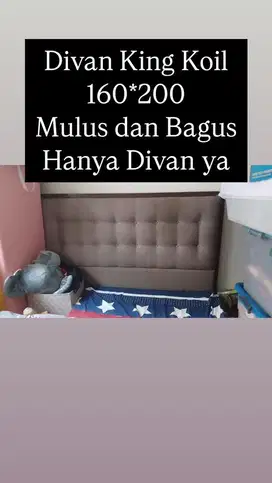 Divan Kasur King Koil