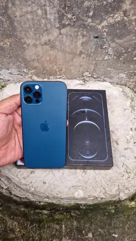iphone 12 pro 256gb