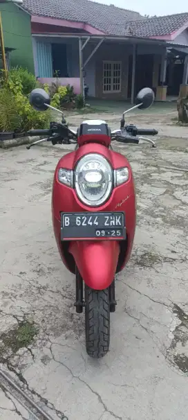 For sale Scoopy Stylish 2017