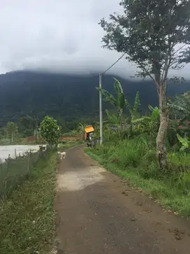 Jual tanah bedugul