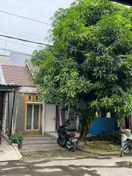 Disewakan Rumah Ivory Mansion