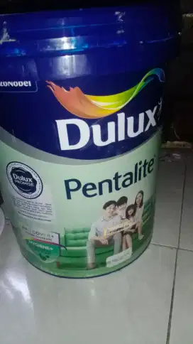 Cat dulux sisa 1 pail