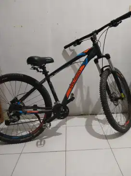 Polygon strada 5 2019