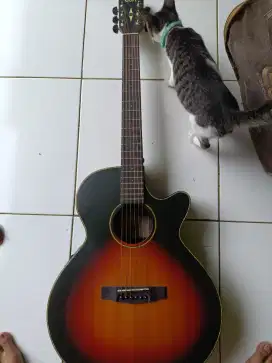 Gitar Cort sfx 3tss