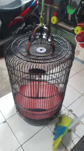 sangkar murey bekas