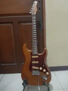 Gitar Stagg Tua