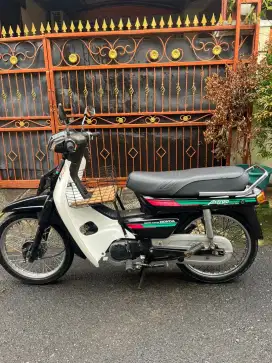 Astrea grand bulus 1993