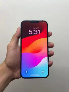 iPhone 13 128 gb