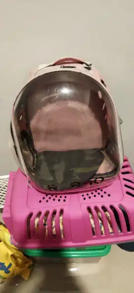 Tas astronot kucing