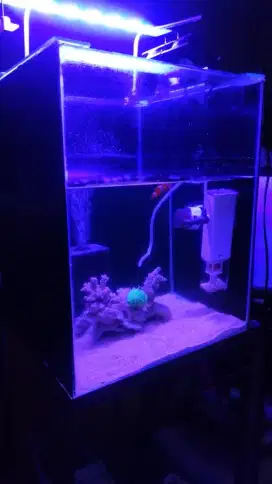 Akuarium 40cm×40 cm & Meja Akuarium