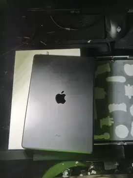 iPad Air 3 256GB wifi only iBox