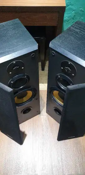 Speker Kenwood LS T-301