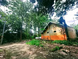 Pekarangan bagus dekat kampus ISI DI PANGGUNGHARJO SEWON BANTUL