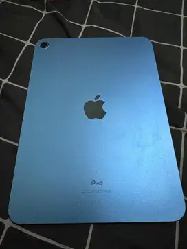 iPad 10 256 GB Inter Wifi Only