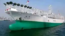 Kapal luar negeri, tanpa biaya