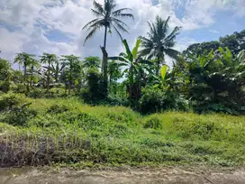 Dijual Tanah Dalam Perumahan Pemda Sleman View Sawah Dekat RSUD