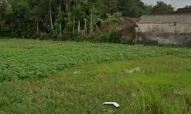 Dijual Tanah Jl Sri Tanjung sumbersari Jember