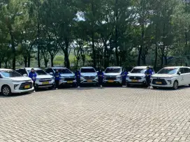 Driver / instruktur sekolah mengemudi