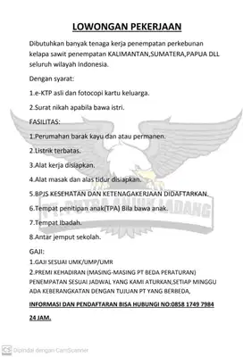 LOWONGAN KERJA PERKEUNAN KELAPA SAWIT