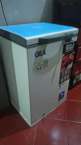 Freezer Box 100L
