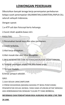 Lowongan pekerjaan perkebunan kelapa sawit