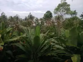 di jual tanah di daerah lampung