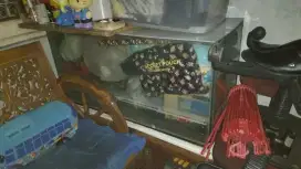 Aquarium 1meter