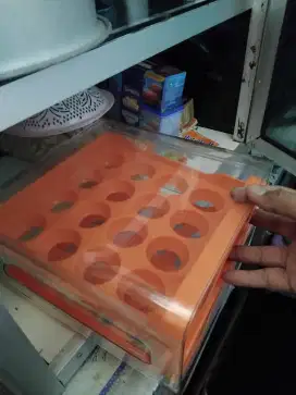 Wadah untuk menyimpan telur