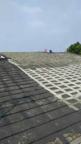 Tukang perbaikan atap bocor,dag,talang,kanopi,renopasi dll