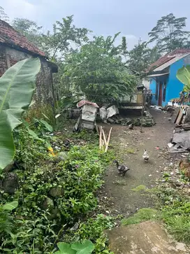 Tanah Pekarangan/Tanah Residensial