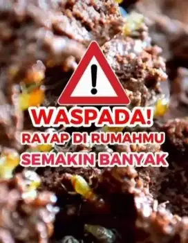 Jasa Anti Rayap Berpengalaman