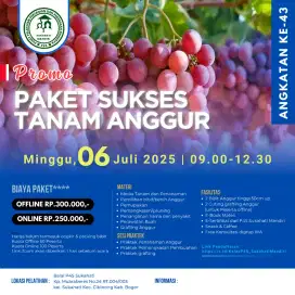 Pelatihan Budidaya Anggur Impor