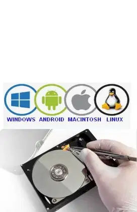 data recovery harddisk laptop, server, nas, dll