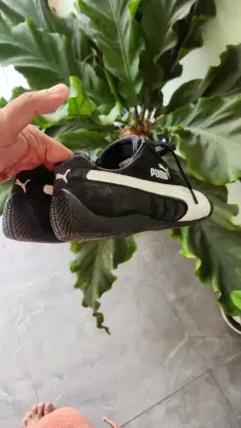 Puma speescat Black