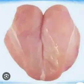 Jual Ayam potong dan Ayam fillet