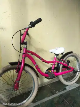 BMX ALMUNIUM SCHWINN NOT POLYGON