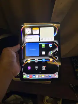 ipad pro M4 256gb wifi only