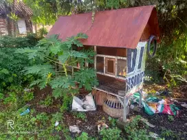 Kandang burung/ ayam