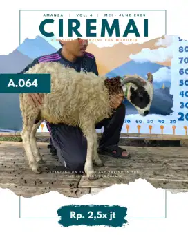 JUAL HEWAN QURBAN DOMBA