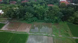 Dijual Tanah Sawah Produktif Luas 4270 m2 di Cirebon
