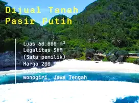 DIJUAL TANAH BIBIR PANTAI LUAS 60.000M² LEGALITAS SHM