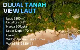 DIJUAL TANAH MURAH COCOK BUAT VILLA HARGA 800 JUTA NEGO