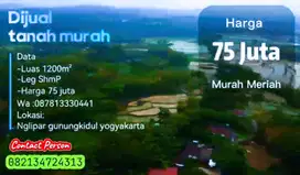 DIJUAL TANAH MURAH LUAS 1200M² , LOKASI NGLIPAR GUNUNGKIDUL