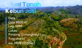 DIJUAL TANAH ISTIMEWA DENGAN HARGA 250 JUTA LUAS 9500M²