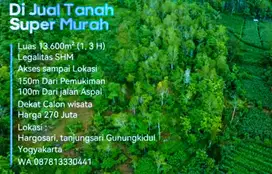 DIJUAL TANAH MURAH MERIAH HARGA 270 JUTA LUAS 13.000M²