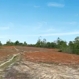 Kavling tanah belakang Kampus UIN Mendalo