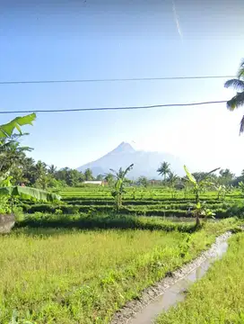 Tanah Murah SHM  View Gunung Merapi