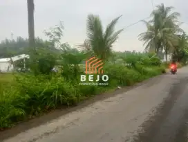 DISEWAKAN TANAH – DEKAT KAMPUS UMY, COCOK KULINER/ USAHA