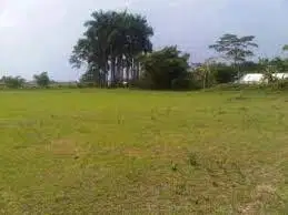 Dijual Tanah Luas 23 HA di Cikande Serang Zona Industri