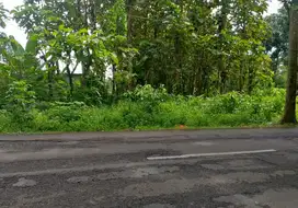 Jual Tanah di Jalan Raya Patemon Gunungpati 4 menit ke kampus UNNES 